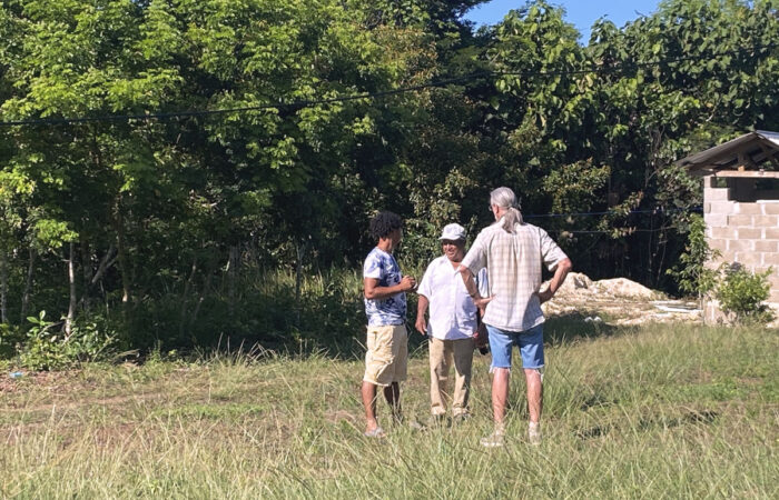 Mr. D's Property Picture